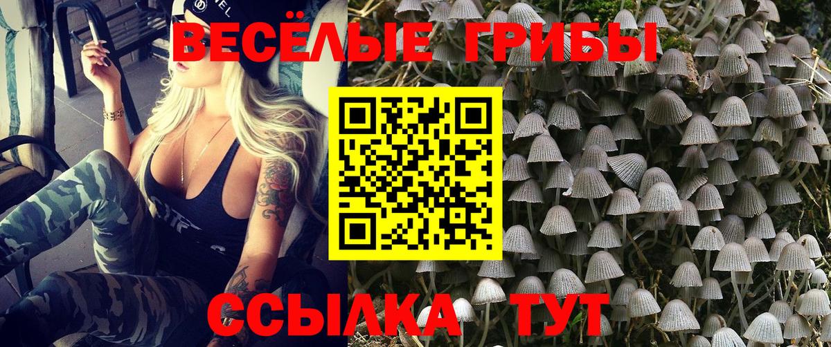 Галлюциногенные грибы GOLDEN TEACHER Набережные Челны