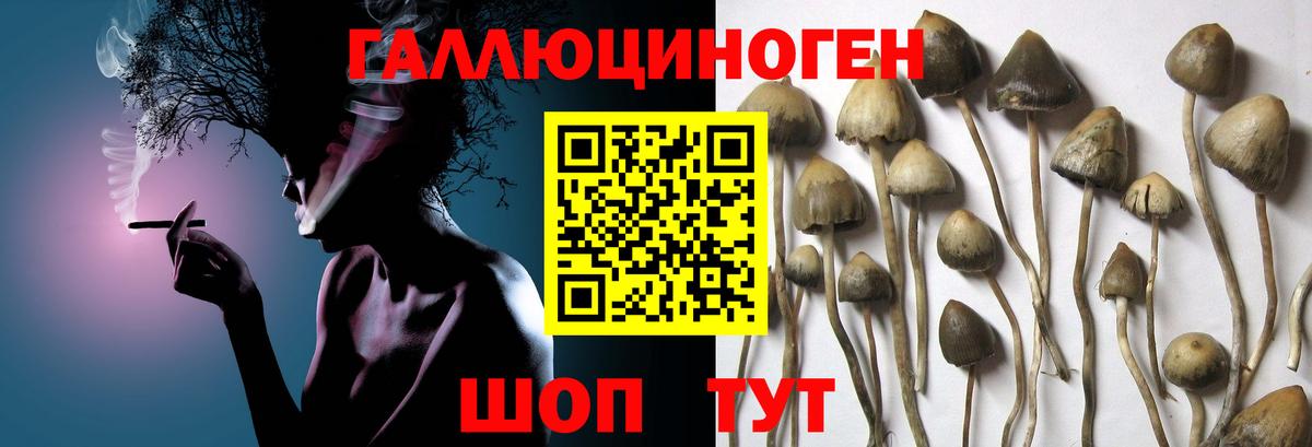 Набережные Челны  Псилоцибиновые грибы Magic Shrooms  Вход с VPN 